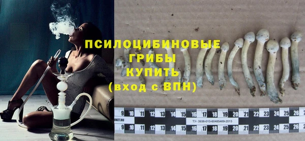 молекула духа Аркадак
