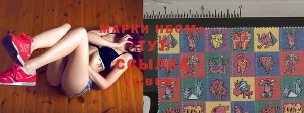 PSILOCYBIN Армянск